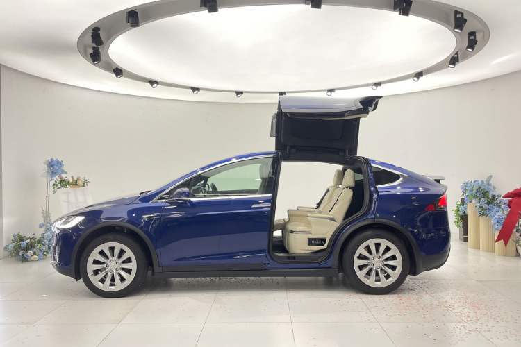 Used Tesla Model X 2019 Long-Range Version
