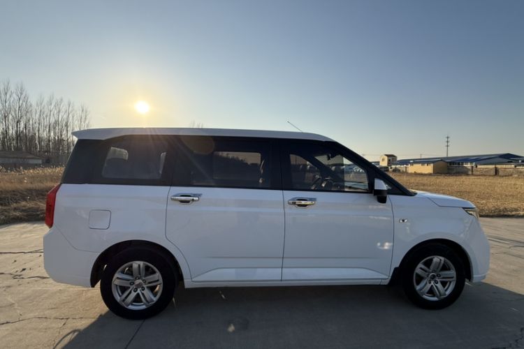 Used Wuling Hongguang PLUS 2019 1.5T Manual Luxury 7-Seater Exterior 5