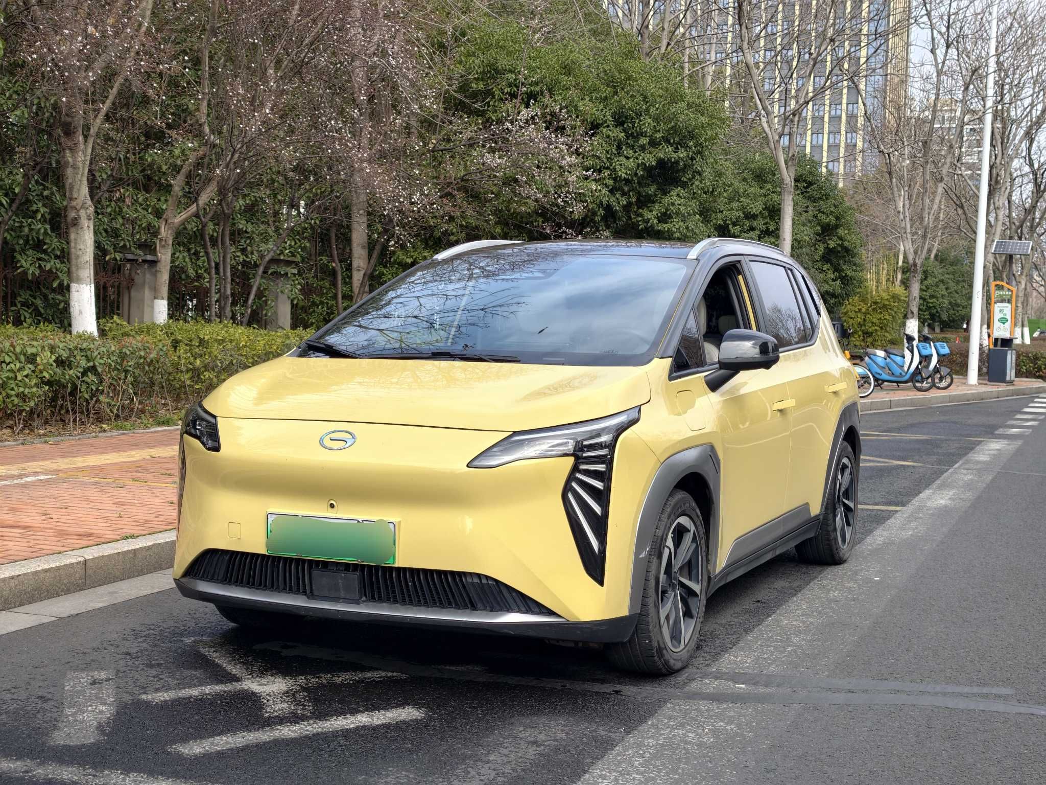 Parte inferior delantera