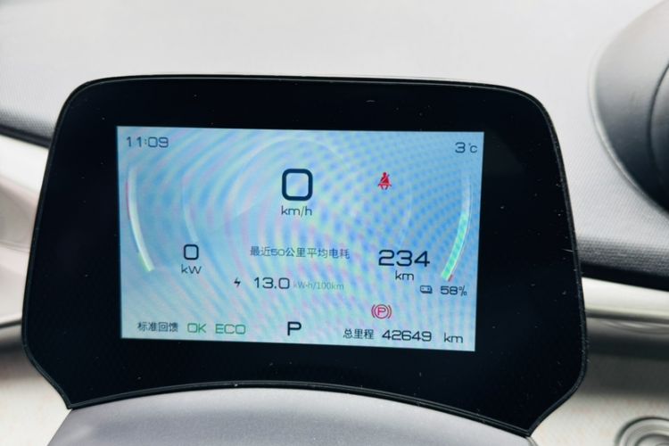 Used BYD Dolphin 2021 405 km Fashion Edition Odometer Close Up