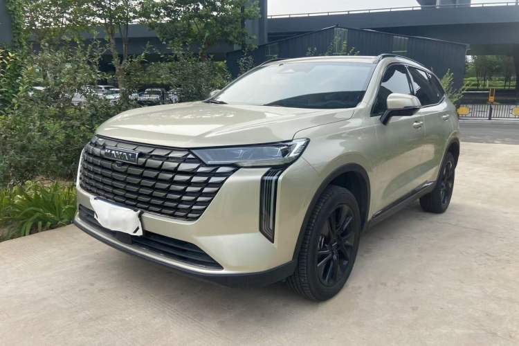 Used Haval H6 2024 1.5T Two-Wheel Drive Ultra