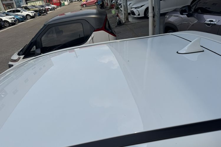 Used SOL E10X 2022 Flower Fairy Design Four-Leaf Clover