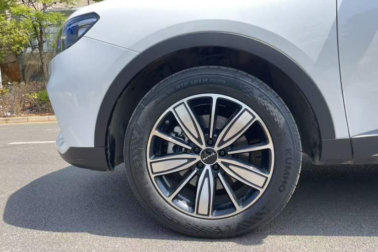 Used Haval H6 2023 National Trend Edition 1.5T Automatic Champion Version
