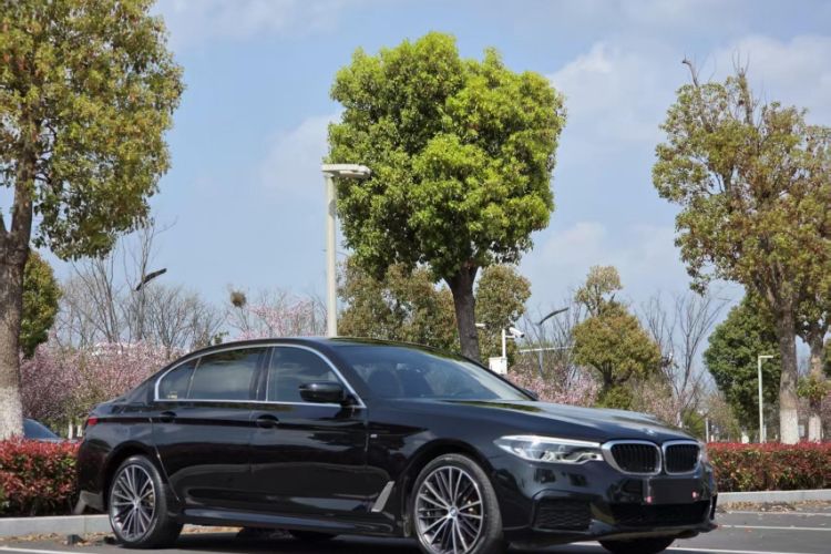 Used BMW 5 Series 2020 530Li Leading Model M Sport Package Exterior 2