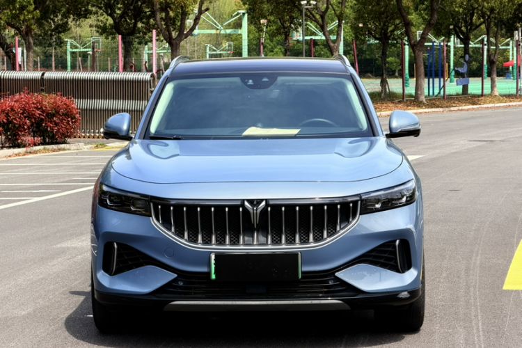 Used VOYAH FREE 2021 Four-Wheel Drive Standard Range-Extended Exclusive Luxury Package Exterior 4