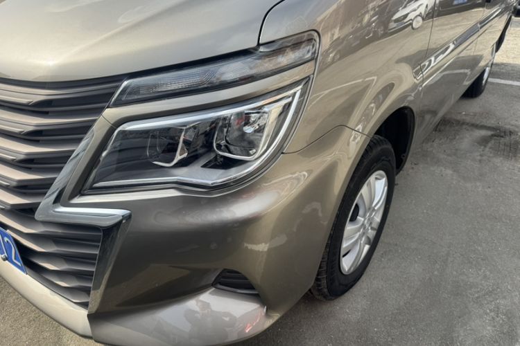 Used FORTHING Lingzhi 2020 M5L 2.0L Base Model 9 Seats
