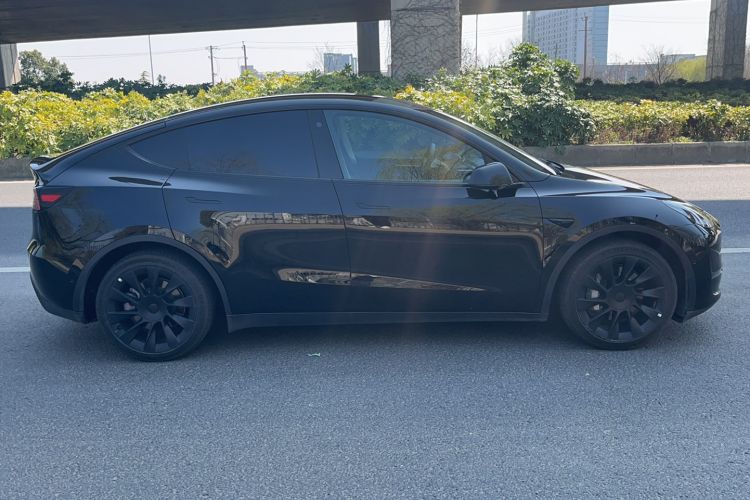 Used Tesla Model Y 2021 Standard Range Rear-Wheel Drive Version
