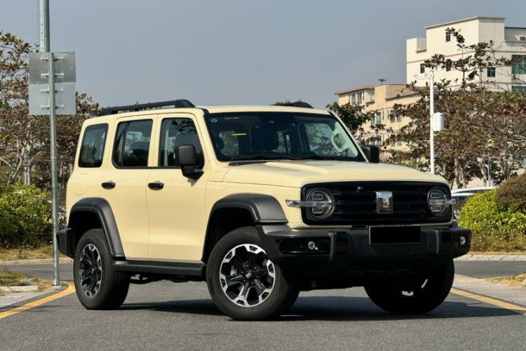 Used Tank 300 New Energy 2024 Hi4-T