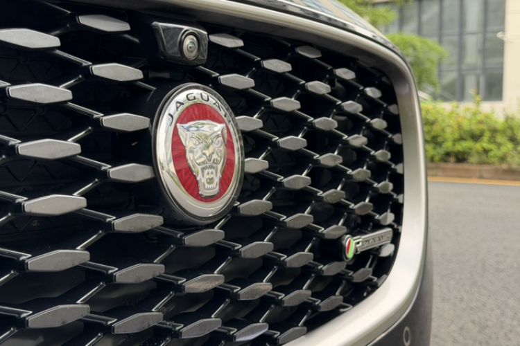 Used Jaguar XFL 2021 XFL 2.0T P250 Two-Wheel-Drive Elite Sport Edition