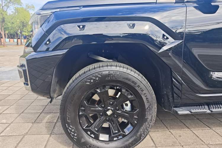 Used Tank 400 2025 2.0T Gasoline Version
