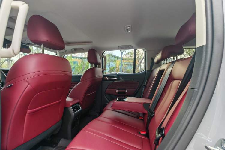 Used Tank 300 2024 2.0T Conqueror
