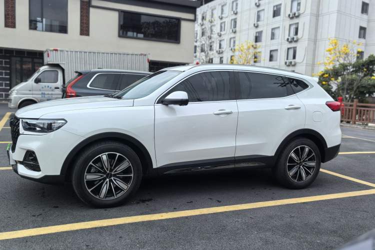 Used Haval H6 2023 National Trend Edition 1.5T Automatic Champion Version
