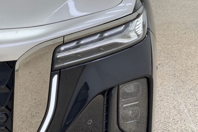 Used Hongqi H9 2024 2.0T Qichang Private Enjoyment Luxury Edition