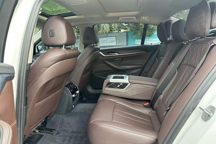 Used BMW 5 Series New Energy 2019 530Le Luxury Package Interior 7