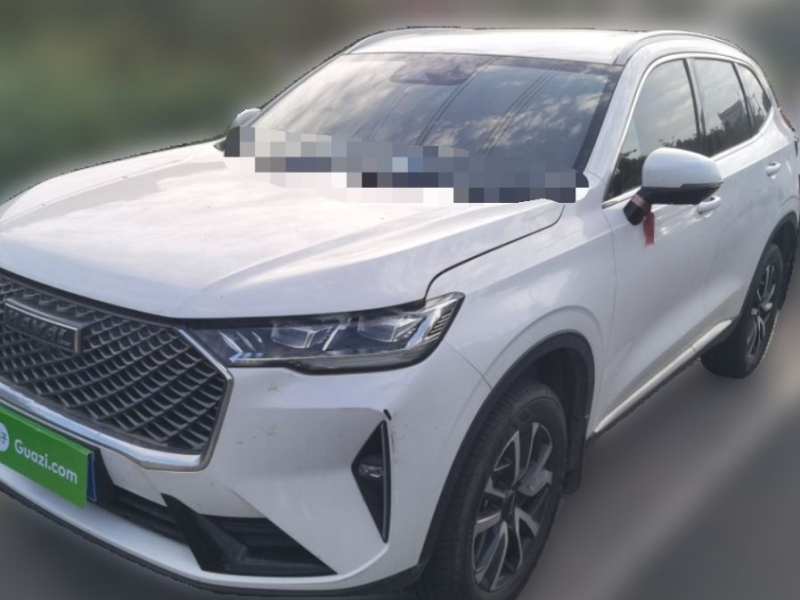 Used Haval H6 2024 1.5T Two-Wheel-Drive Classic Edition — 15