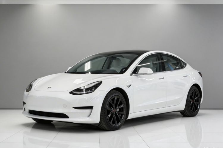 Used Tesla Model 3 2020 Standard Range Rear-Wheel Drive Upgraded Version