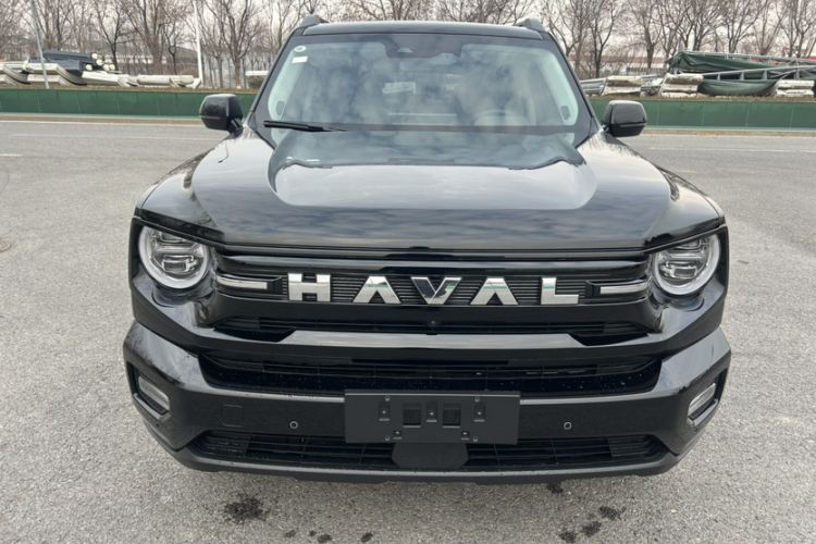 Used Haval H Dog 2026 Model 2.0T All-Wheel-Drive Trendy Wilderness Edition
