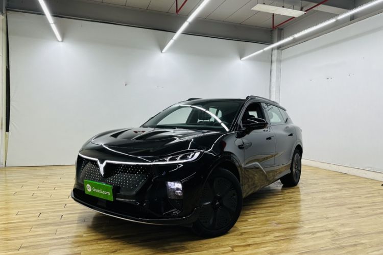 Used VOYAH COURAGE 2024 Four-Wheel Drive Global Edition