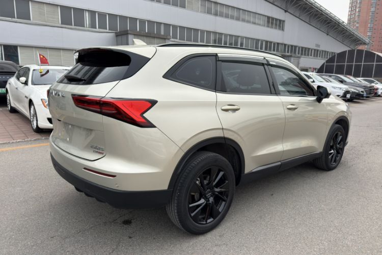 Used Haval H6 2024 2.0T All-Wheel Drive Max
