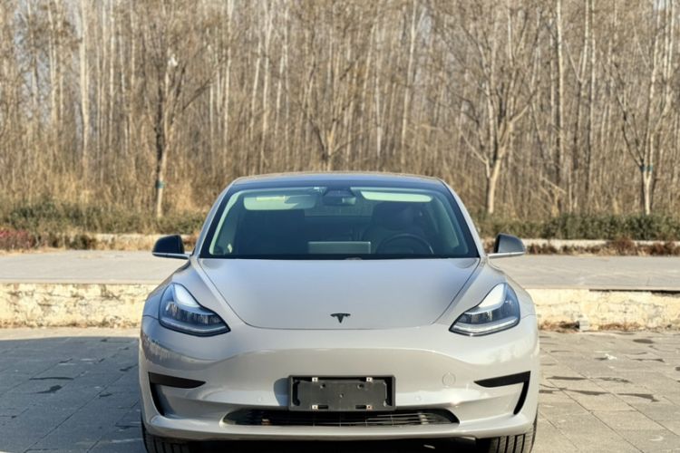 Used Tesla Model 3 2019 Standard Range Rear-Drive Upgraded Version
