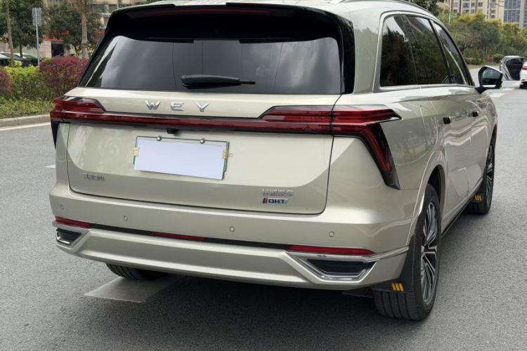 Used Wey Lanshan 2023 Two-Wheel Drive Long-Range Version
