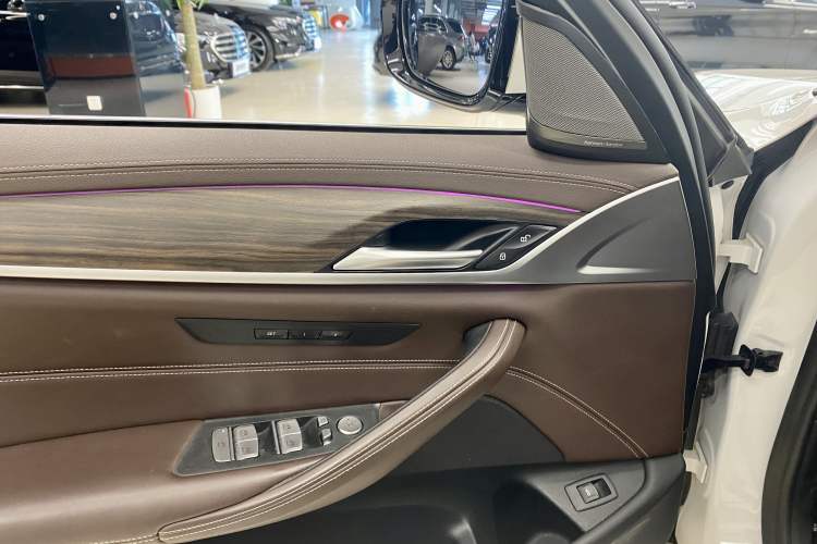 Used BMW 5 Series 2020 530Li Leading Edition Luxury Package