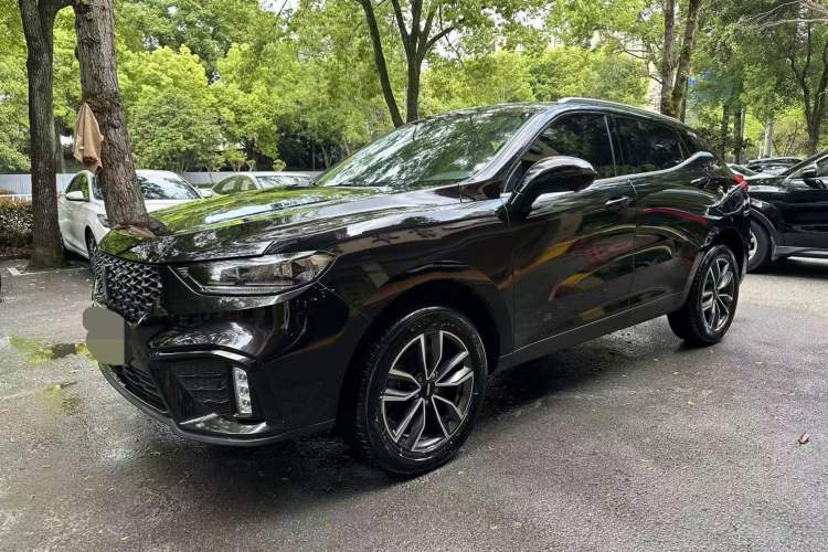 Used Wey VV5 2020 1.5T Two-Wheel Drive Color Pioneer