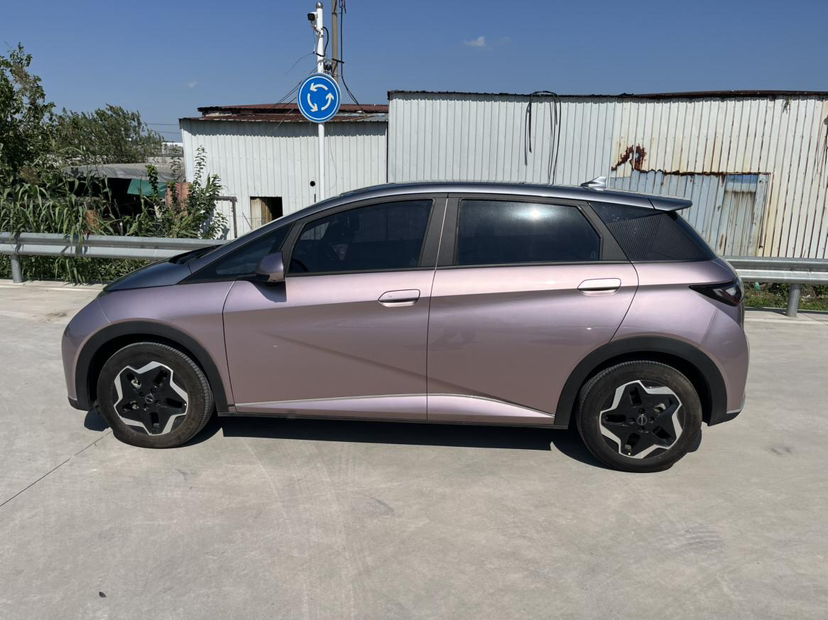 BYD Dolphin 2021 405 km Fashion Edition — снимка 17