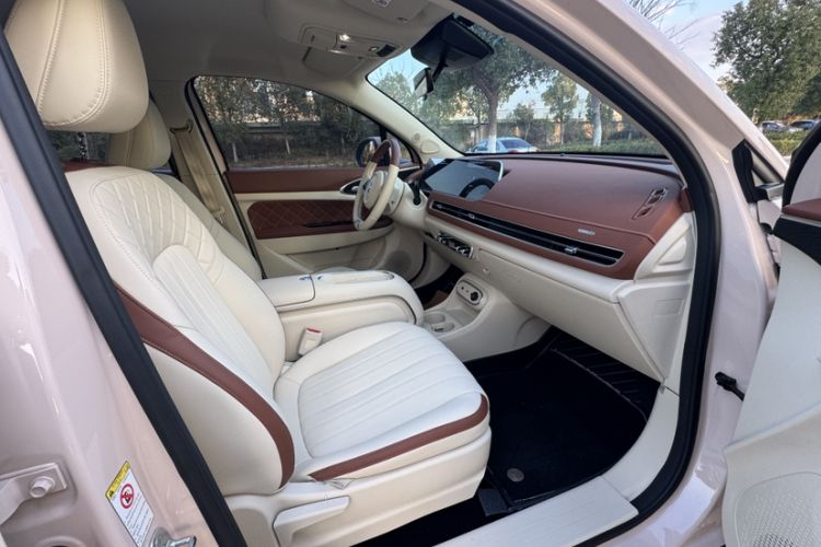 Used ORA Good Cat 2023 401 km Standard Range Luxury Version Lithium Iron Phosphate
