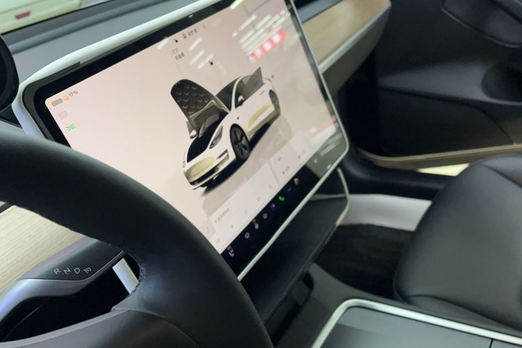 Used Tesla Model 3 2022 Rear-Wheel-Drive Version