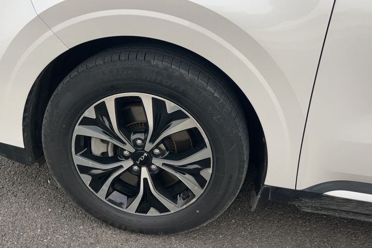 Used Kia Carnival 2021 2.0T Flagship Edition