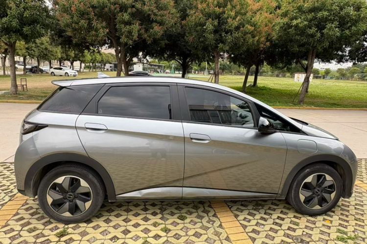Used BYD Dolphin 2024 Honor Edition 420km Freedom Version