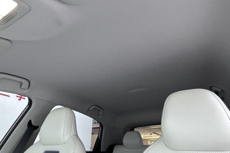 Used Geely Galaxy Geome 2025 310km Youth Edition Headliner