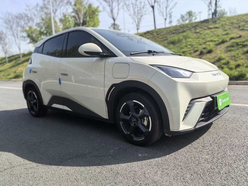 Used BYD Seagull 2023 Free Edition — 30