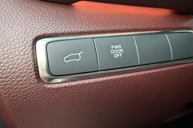 Used Hongqi HQ9 2023 2.0T Smart Connect Flagship Edition