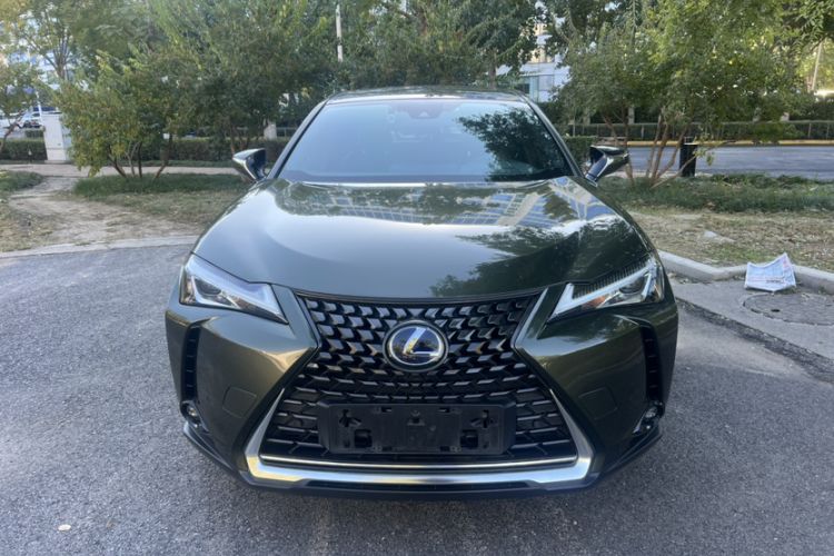 Used Lexus UX New Energy 2020 300e Pure·Joy Edition Exterior 4