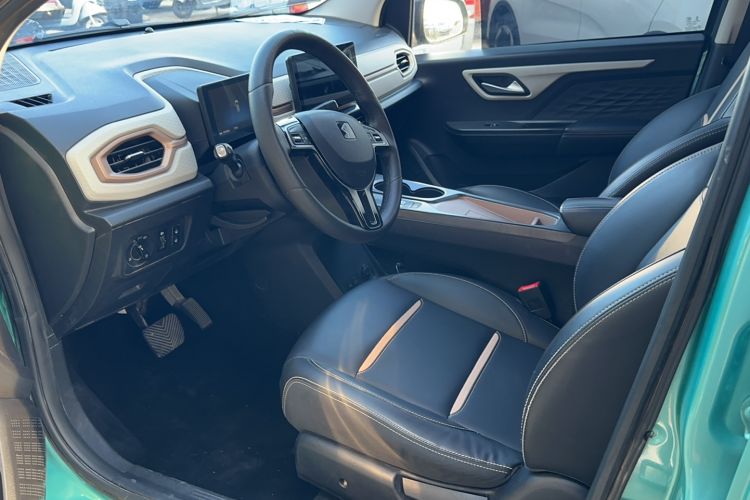 Used SOL E10X 2022 Flower Fairy Design Dandelion
