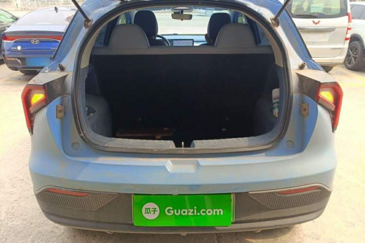 Used Geometry E Firefly 2022 320KM Cute Tiger 4-Seater