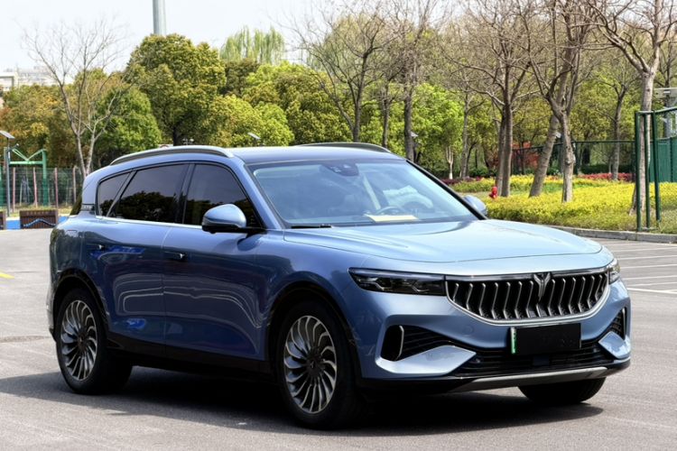 Used VOYAH FREE 2021 Four-Wheel Drive Standard Range-Extended Exclusive Luxury Package Exterior 5