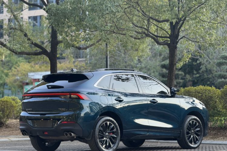 Used FORTHING T5 EVO 2021 1.5TD DCT Starry Edition