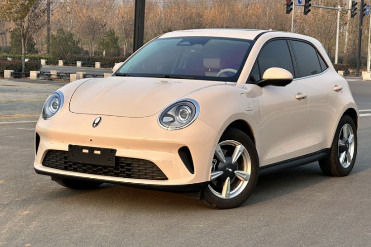 Used ORA Good Cat 2025 Model, 430 km Prestige Version