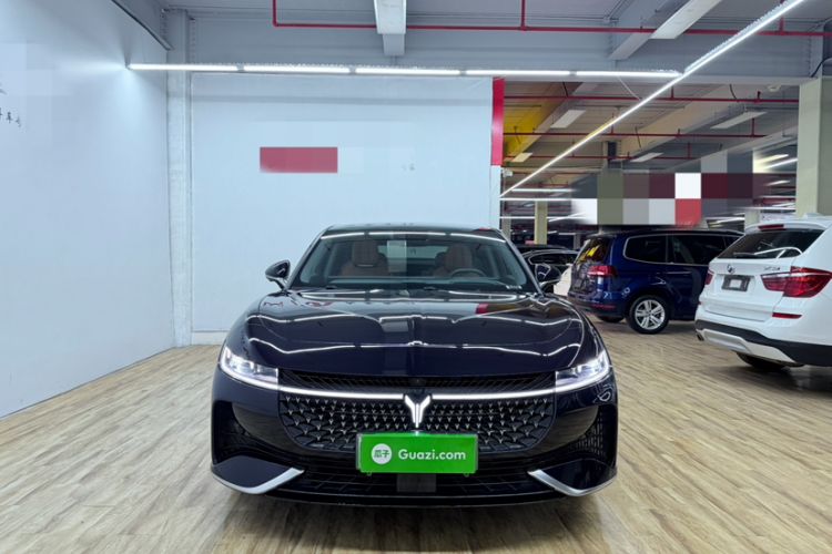 Used VOYAH PASSION 2024 PHEV Four-Wheel Drive Ultra-Long Range Flagship Model
