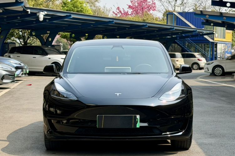 Used Tesla Model 3 2021 Standard Range Rear-Wheel Drive Upgraded Version 3D6
