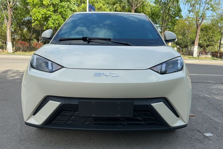 Used BYD Seagull 2024 Honor Edition 305km Dynamic Version Front