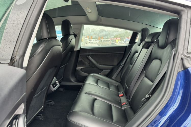 Used Tesla Model 3 2019 Standard Range Rear-Drive Upgraded Version