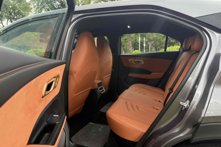 Used NETA X 2024 500 First Edition
