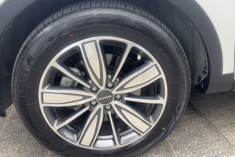 Used Haval H6 2021 1.5T Automatic Champion Edition Exterior 4