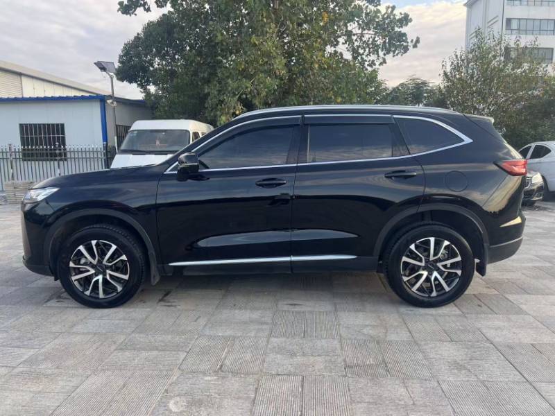 Used Haval H6 2024 1.5T Two-Wheel Drive Pro — 9