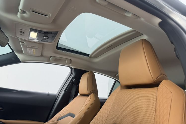 Used Lexus UX New Energy 2020 300e Pure·Enjoy Edition