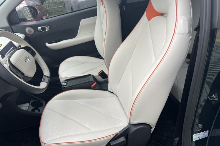 Used Chery Little Ant 2024 Facelifted 321km Beloved Edition Interior 6